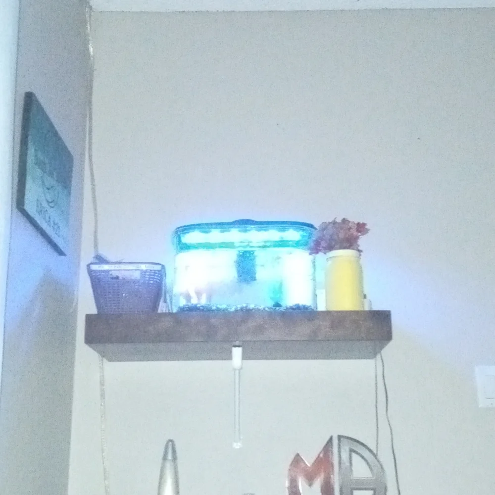 Fish tank